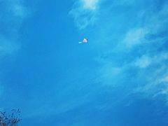 -镇江市南山风景名胜区竹林景区