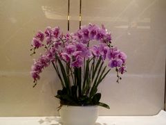android_upload_pic-锦官会