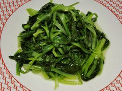 -圆苑(静安寺店)