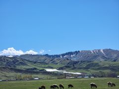 -新疆那拉提国家旅游度假区