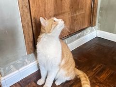 -Siam泰餐厅(水上公园店)