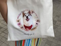 -Husky Go! 哈士奇体验馆·宠物咖啡厅狗咖