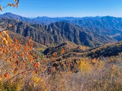 -大岭沟猕猴桃谷风景区