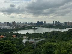 -顺峰山公园