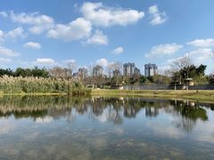 -眉山湿地公园(东坡区)