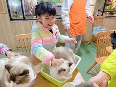 -藦茜花园宠物主题亲子互动体验馆(国顺东路店)