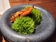 -觀芷隐轩