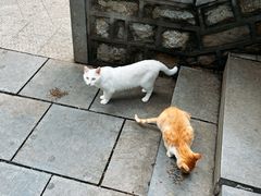-四门塔风景区