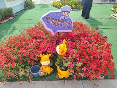 -荷兰花海
