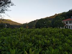 -石燕湖生态旅游景区