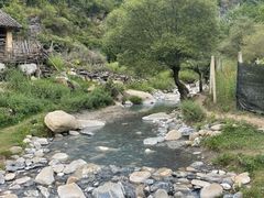-狮子沟牧场