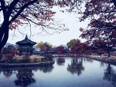 -景福宫