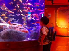 -沈阳海洋探索中心