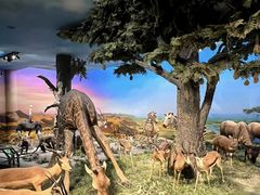 -国家自然博物馆