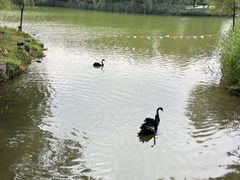 -河北省园博园