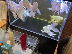 -大书房咖啡(中传国交店)