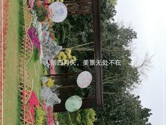 -共青国家森林公园-售票处