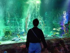 -沈阳海洋探索中心