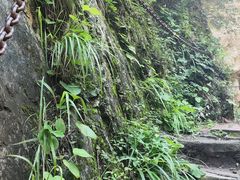 -仙人峪