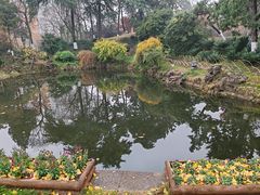 -莫愁湖公园