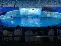 -海合安青岛极地海洋公园