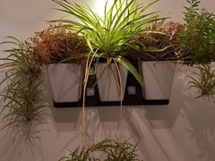 -素心小筑(后沙裕镇店)