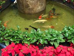 -古莲·影院足道·按摩SPA(水上温泉店)