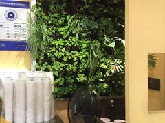 -三佰瑞冻酸奶(凯德MALL店)