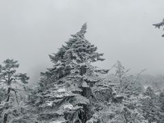 -海螺沟风景区
