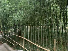 -西安市长乐公园