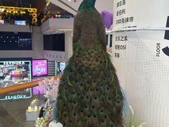 -受气牛肉·重庆耙牛肉(南坪总店)