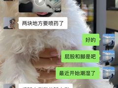 -汪小喵宠物·戴维斯乐芳希施宠馨宝皮毛调理洗护店
