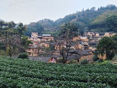 -杨家堂村