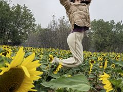 -汉长安城未央宫国家考古遗址公园