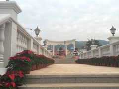 -爱丽丝仙境花海