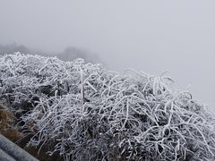 -峨眉山风景名胜区