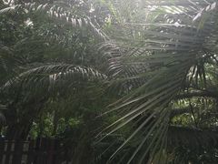 -龙达温泉生态城