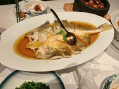 鸡油花雕蒸大黄鱼-醉舍·新淮扬菜(长宁龙之梦店)