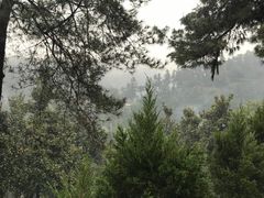 -午潮山国家森林公园