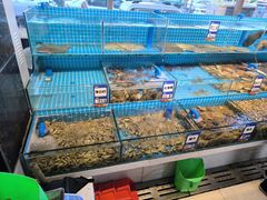 -双海酒店·非遗渔家菜(南戴河店)