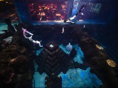 -石家庄海洋公园