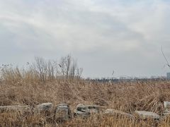 -绿堤公园