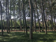 -仁和公园(顺义区)