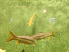 -太平洋海底世界