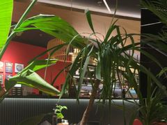 -拉蒂娜·巴西牛排馆 Latina·Brazilian Steakhouse(铜仁旗舰店)