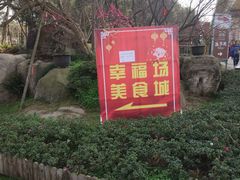 -秀丽东方