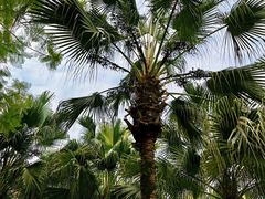 -重庆中央公园(渝北区)