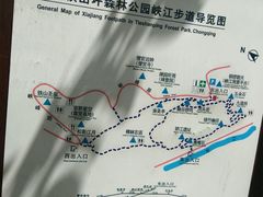 -铁山坪森林公园