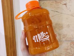 网红水桶水蜜桃柠檬茶茶-milkplus·泰式奶茶(较场东路店)
