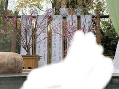 -天目湖涵田半山温泉